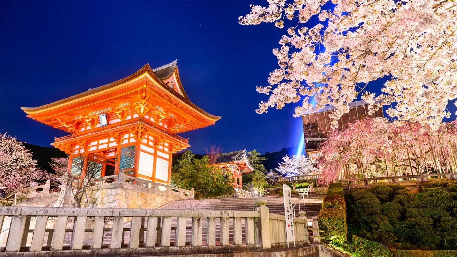 Osaka - Hotel / Vacation Stay 65249 Japan
